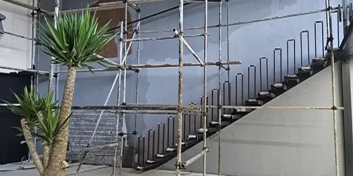 تصویر یک درخت یوکا بزرگ در محوطه باشگاه رادیس